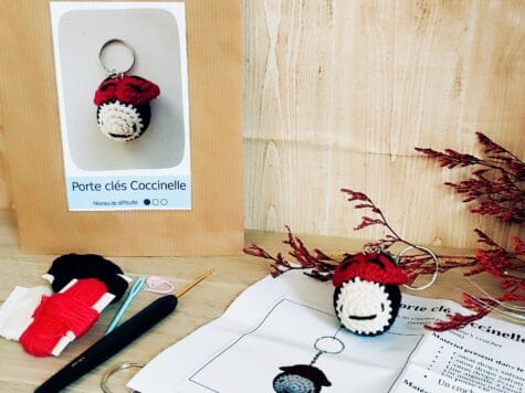 Kit crochet débutant porte clé coccinelle