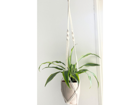 Créez votre suspension pour plantes en macramé !