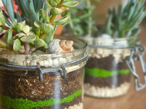 Mini terrarium zen en bocal upcyclé