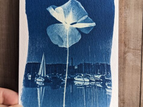 Développez votre photographie avec le cyanotype