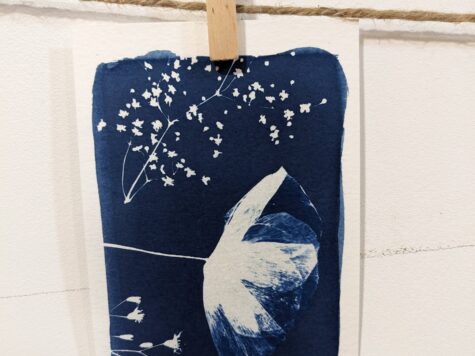 Découverte du cyanotype