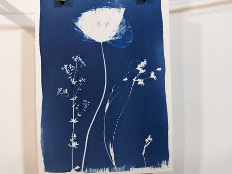 Initiez-vous au cyanotype