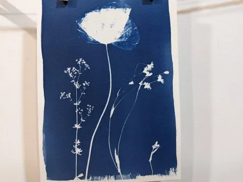 Atelier cyanotype – empreintes végétales et solaires