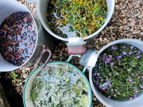 Initiez-vous à la teinture végétale & au pliage shibori