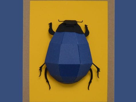 Kit créatif pour enfant – Le scarabée