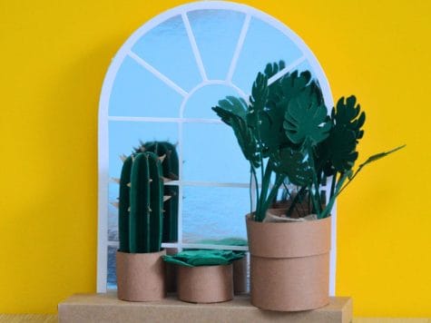 Kit plantes miniatures