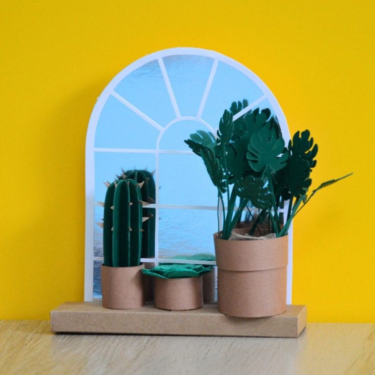 Kit plantes miniatures
