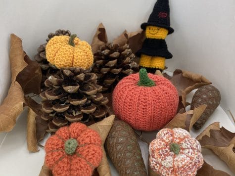 Stage de crochet une citrouille pour Halloween