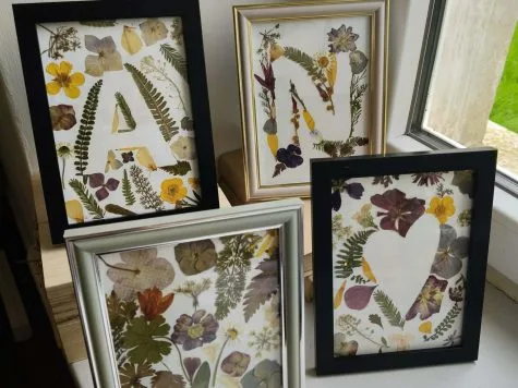 Atelier création d&rsquo;un Herbier