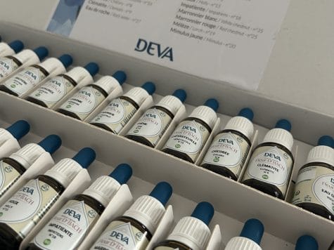 Atelier Fleurs de Bach – Atelier DIY au Pays Basque