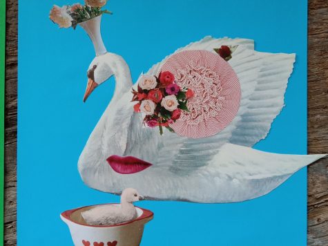 Atelier collage « animaux printaniers »