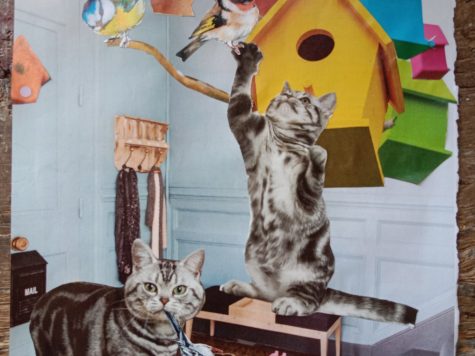 Atelier collage « animaux printaniers »