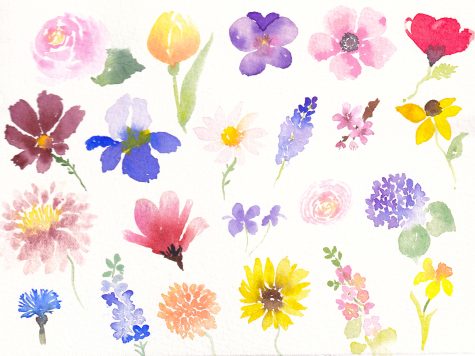 Atelier aquarelle