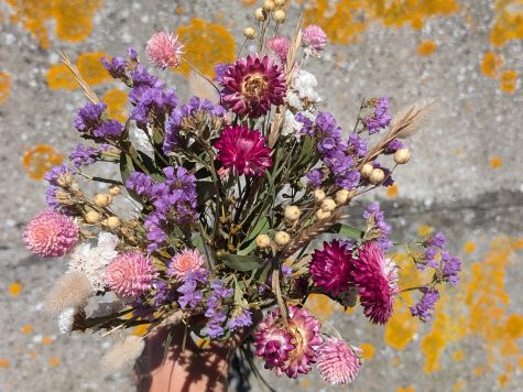 Atelier bouquet champêtre fleurs séchées