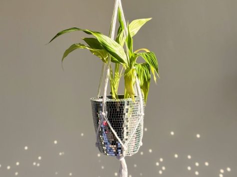 Coffret Mille Reflets – Cache-pot disco – Cosy Fabrik
