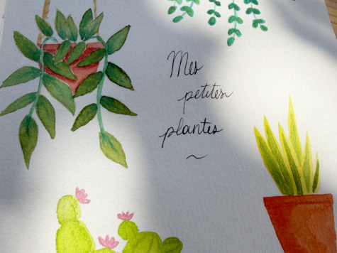 Atelier aquarelle à La Rochelle