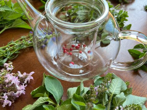 Tea Time Botanique et  création d&rsquo;une infusion
