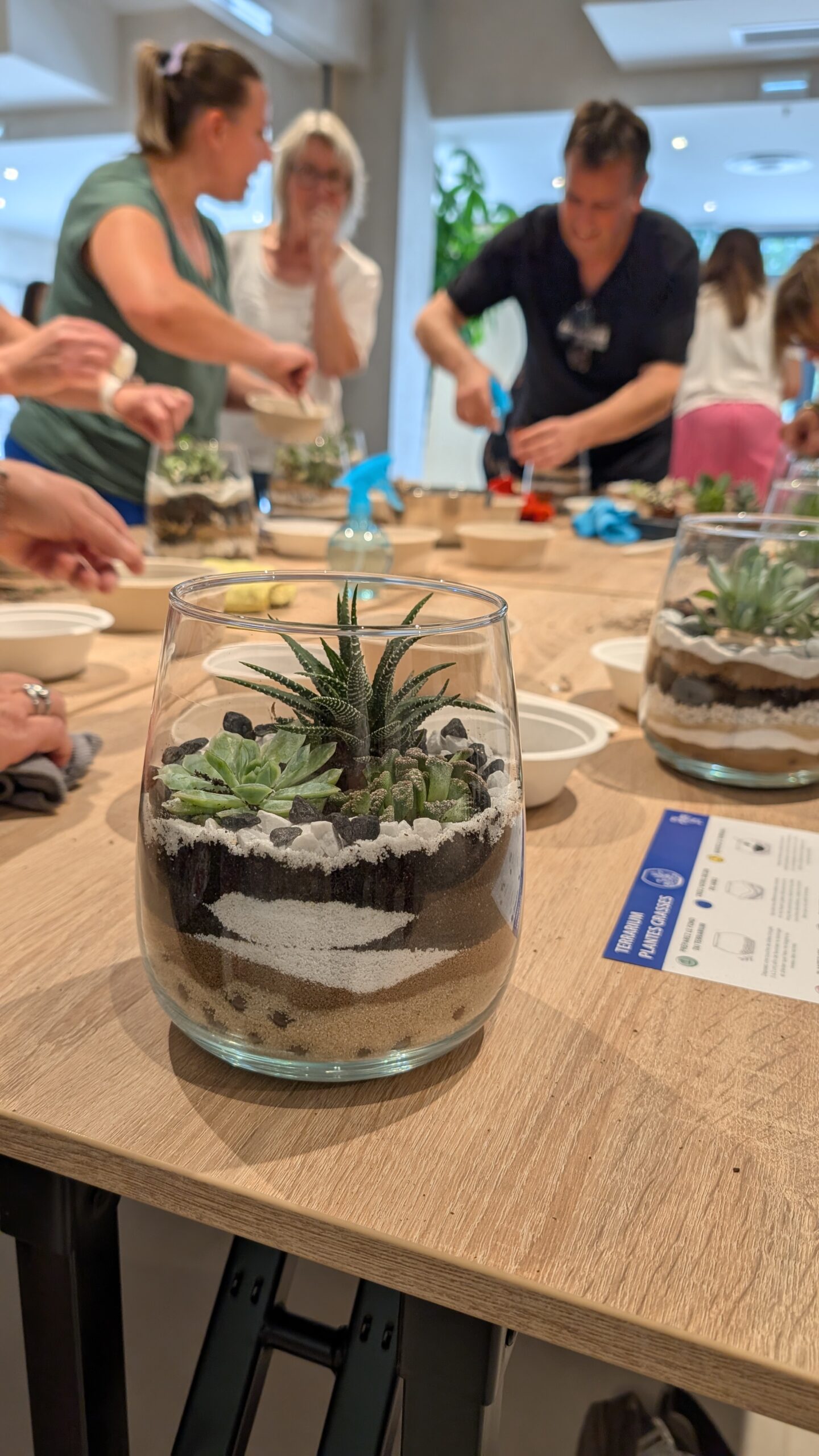 Atelier terrarium en entreprise